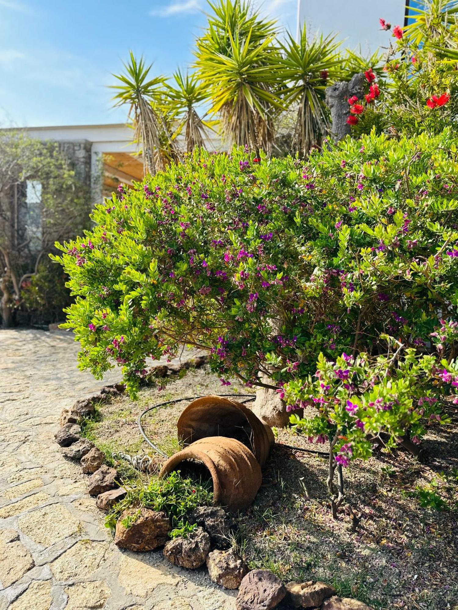 Divers House Agrari  Exterior foto